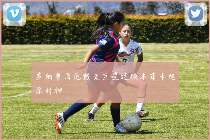 多纳鲁马范戴克巨星连线本菲卡绝杀封神