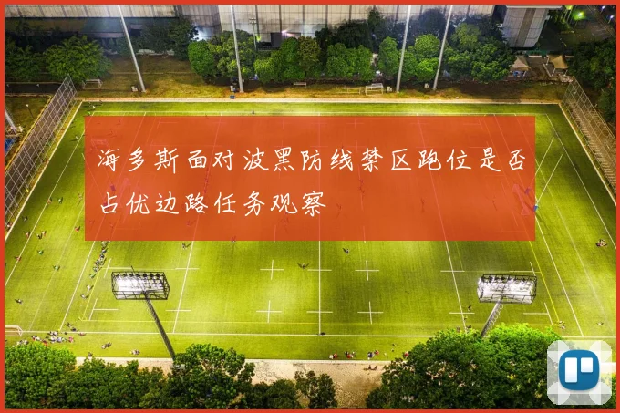 海多斯面对波黑防线禁区跑位是否占优边路任务观察