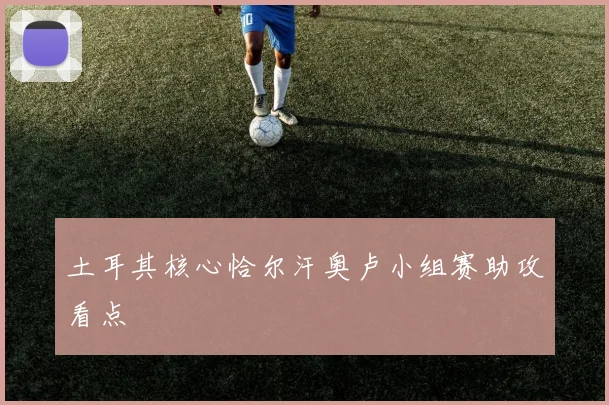 土耳其核心恰尔汗奥卢小组赛助攻看点